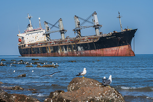 搁浅货轮布鲁维斯号