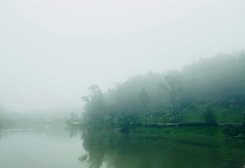 天府茶灵谷度假区第 101 张图片