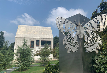 水墨大埝旅游区第 11 张图片