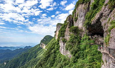 金佛山第 21 张图片