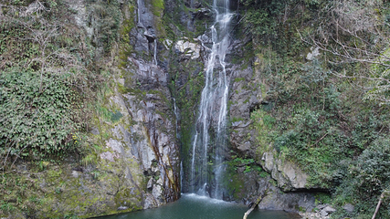 奉新县百丈山景区第 7 张图片