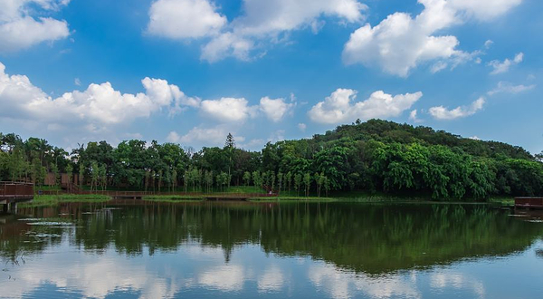 平湖生态园