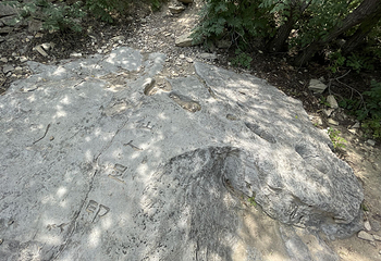 鱼山曹植风景区第 14 张图片