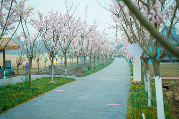 蜗牛部落第 35 张图片