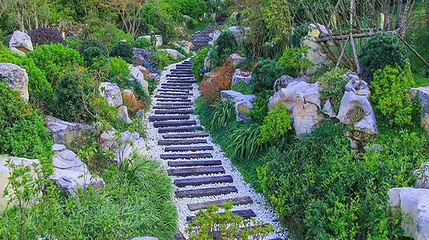 大娄山度假村第 1 张图片