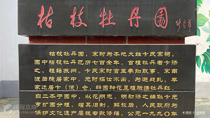 枯枝牡丹园第 2 张图片