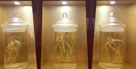 参中堂景区第 19 张图片
