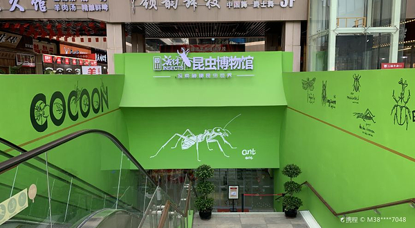 四川活体昆虫博物馆