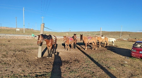 希拉穆仁草原吉三马场
