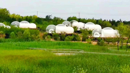 鄂尔多斯植物园第 1 张图片