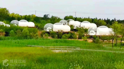 鄂尔多斯植物园第 2 张图片