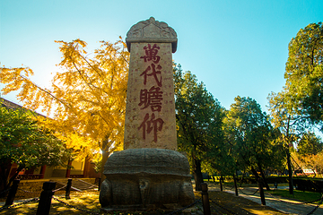 岱庙第 5 张图片
