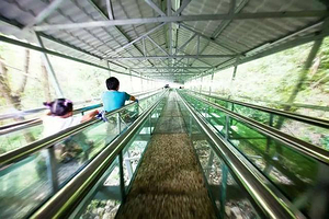 张家界大峡谷-滑道上站