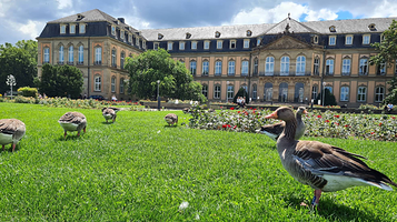 宫殿花园的下园