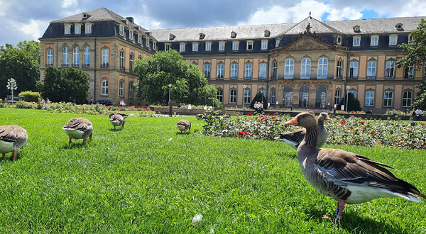 宫殿花园的下园