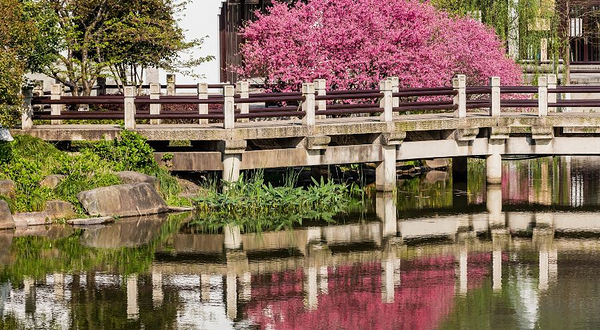 皋亭山景区-千桃园