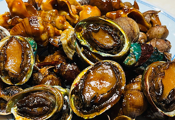 日丰园海肠水饺·老字号大连海鲜(和平广场店)第 8 张图片