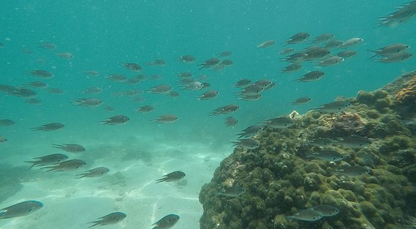 双月湾潜能潜水俱乐部