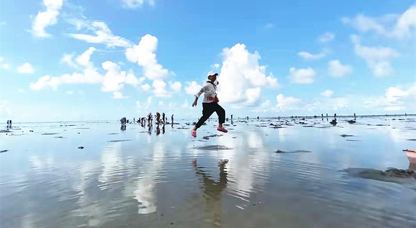 红树林海之蓝赶海