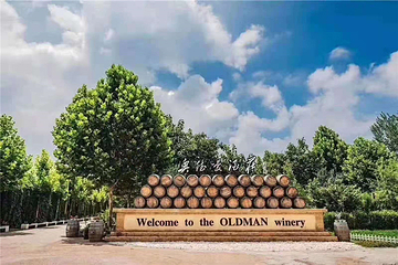 奥德曼葡萄酒庄园第 2 张图片