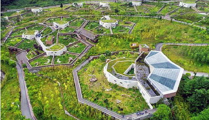 卧龙中华大熊猫苑神树坪基地第 4 张图片