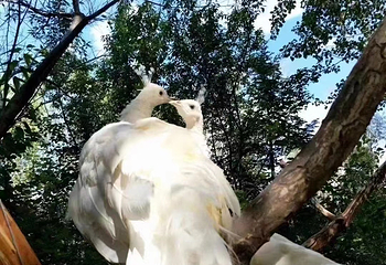 沈阳鸟岛第 4 张图片
