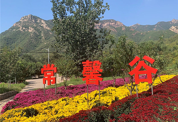 常河常馨谷第 12 张图片
