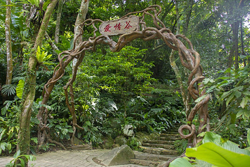 海南百花岭热带雨林文化旅游区第 60 张图片