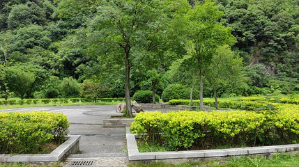 铜山源水库坝底公园第 1 张图片