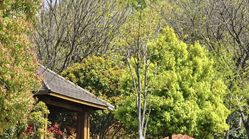 钟山风景名胜区-营盘山公园