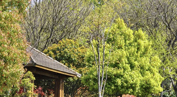 钟山风景名胜区-营盘山公园