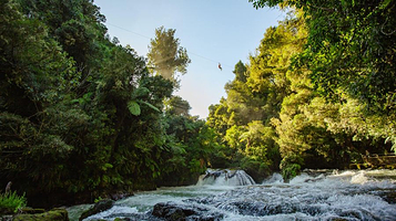 Rotorua Ziplines