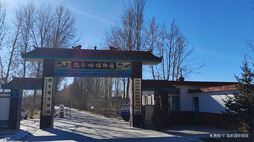 德令哈植物园