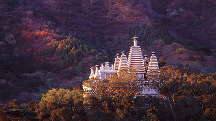 香山公园第 49 张图片