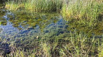 官厅水库国家湿地公园