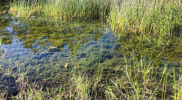 官厅水库国家湿地公园