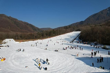 光雾山大坝滑雪场第 1 张图片