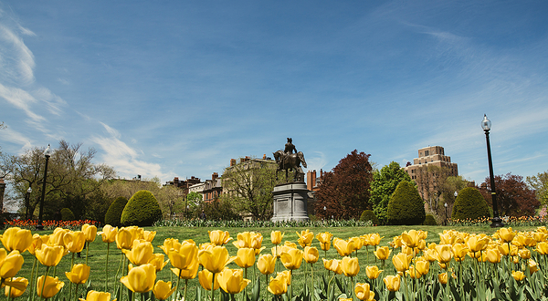 波士顿公园