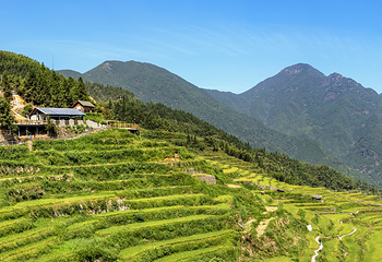 云和梯田景区第 9 张图片