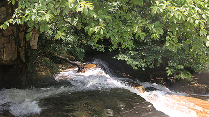 小草坝生态旅游区第 42 张图片