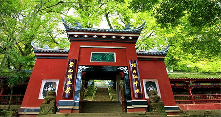 蒙顶山第 61 张图片