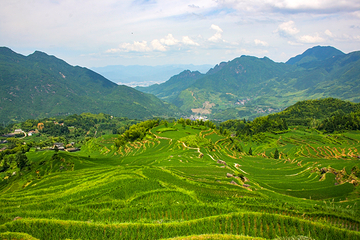 云和梯田景区第 105 张图片
