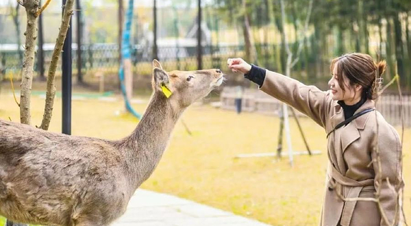 Deer Park浩楠鹿公园