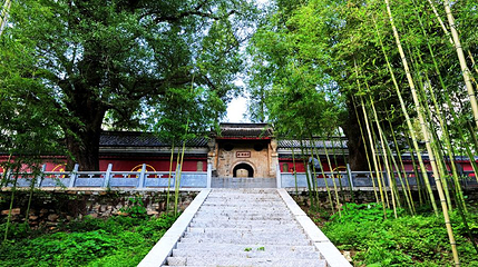 白竹园寺国家森林公园第 1 张图片