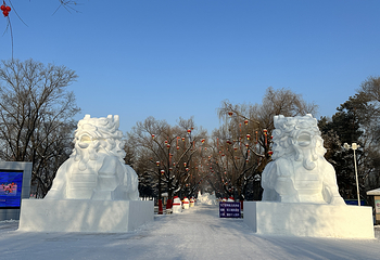 太阳岛雪博会第 101 张图片