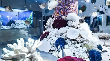 北戴河深海海产养殖基地