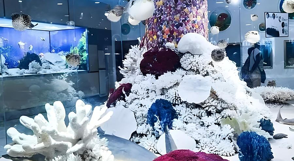 北戴河深海海产养殖基地