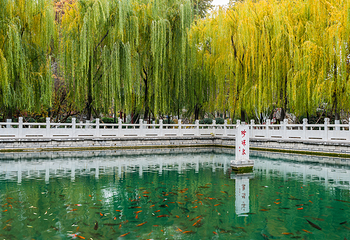 天下第一泉风景区第 66 张图片
