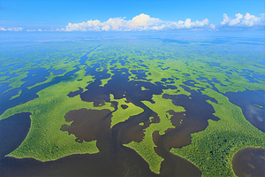 大沼泽地国家公园