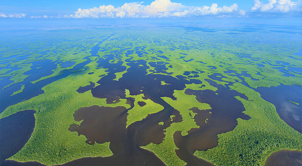 大沼泽地国家公园